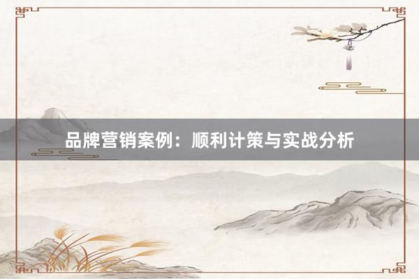 品牌营销案例：顺利计策与实战分析